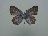  ( - JFC24012)  @11 [ ] Copyright (2024) Jean-Francois Charmeux Unspecified