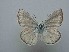  ( - JFC24045)  @11 [ ] Copyright (2024) Jean-Francois Charmeux Unspecified