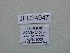  ( - JFC24047)  @11 [ ] Copyright (2024) Jean-Francois Charmeux Unspecified