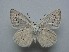  ( - JFC24047)  @11 [ ] Copyright (2024) Jean-Francois Charmeux Unspecified