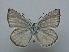  ( - JFC24051)  @11 [ ] Copyright (2024) Jean-Francois Charmeux Unspecified
