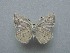  ( - JFC24051)  @11 [ ] Copyright (2024) Jean-Francois Charmeux Unspecified