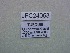 (Polyommatus cilicinus - JFC24053)  @11 [ ] Copyright (2024) Jean-Francois Charmeux Unspecified