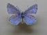  ( - JFC24054)  @11 [ ] Copyright (2024) Jean-Francois Charmeux Unspecified
