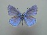  ( - JFC24056)  @11 [ ] Copyright (2024) Jean-Francois Charmeux Unspecified
