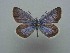  ( - JFC24061)  @11 [ ] Copyright (2024) Jean-Francois Charmeux Unspecified