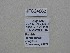  ( - JFC24062)  @11 [ ] Copyright (2024) Jean-Francois Charmeux Unspecified