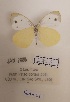  ( - MNHVI-06)  @11 [ ] Copyright (2024) Natural History Museum Vienna, Research Collection Unspecified