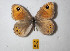 ( - Naderi2024-41)  @11 [ ] Copyright (2024) Alireza Naderi Unspecified