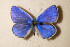  ( - Naderi2024-60)  @11 [ ] Copyright (2024) Alireza Naderi Unspecified
