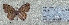 ( - RDwth07)  @11 [ ] Copyright (2025) Robert Ducarme Unspecified