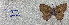 ( - RDwth08)  @11 [ ] Copyright (2025) Robert Ducarme Unspecified