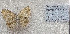 ( - RDwth08)  @11 [ ] Copyright (2025) Robert Ducarme Unspecified