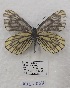  ( - VN-RIEB07)  @11 [ ] Copyrght (2025) Research Institute of Evolutionary Biology, Tokyo, Japan Unspecified