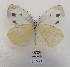  ( - SBG21)  @11 [ ] Copyright (2024) Haus der Natur, Salzburg Unspecified