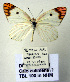  ( - TBL 100)  @13 [ ] Copyright (2009) Unspecified Unspecified