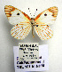  ( - TBL 101)  @13 [ ] Copyright (2009) Unspecified Unspecified