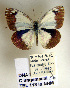  ( - TBL 118)  @11 [ ] Copyright (2009) Unspecified Unspecified