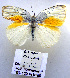 ( - TBL 120)  @12 [ ] Copyright (2009) Unspecified Unspecified
