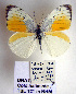  ( - TBL 121)  @14 [ ] Copyright (2009) Unspecified Unspecified
