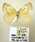  ( - TBL 122)  @11 [ ] Copyright (2009) Unspecified Unspecified