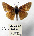  ( - TBL 151)  @12 [ ] Copyright (2009) Unspecified University of Guelph