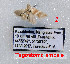  ( - Tsvetkov02)  @11 [ ] Copyright (2023) Eugene Tsvetkov Unspecified