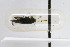  ( - VNLEP00270)  @12 [ ] Copyright (2011) Jean-Francois Landry Canadian National Collection