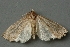  ( - VNLEP00288)  @13 [ ] Copyright (2012) Ian Barton Unspecified