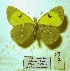  ( - VS-VN07)  @11 [ ] Copyright (2023) Valerio Sbordoni Unspecified
