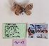  ( - VT-Tur03)  @11 [ ] Copyright (2024) Vadim Tshikolovets Unspecified