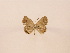  ( - Balint2023-23)  @11 [ ] Copyright (2023) Zsolt Balint Hungarian Natural History Museum
