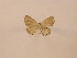  ( - Balint2023-25)  @11 [ ] Copyright (2023) Zsolt Balint Hungarian Natural History Museum