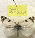  ( - WB1-6.2024)  @11 [ ] Copyright (2024) Werner Back Unspecified