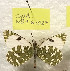  ( - WB1-6.2024)  @11 [ ] Copyright (2024) Werner Back Unspecified