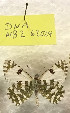  ( - WB2-6.2024)  @11 [ ] Copyright (2024) Werner Back Unspecified