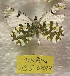  ( - WB5-6.2024)  @11 [ ] Copyright (2024) Werner Back Unspecified