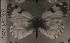  ( - WB6-6.2024)  @11 [ ] Copyright (2024) Werner Back Unspecified
