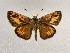  ( - Farahpour02)  @11 [ ] copyright (2023) Atousa Farahpour Unspecified