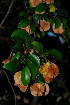  ( - OM3489)  @11 [ ] CreativeCommons - Attribution Non-Commercial Share-Alike (2011) Olivier Maurin University of Johannesburg