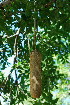  ( - OM3497)  @11 [ ] CreativeCommons - Attribution Non-Commercial Share-Alike (2011) Olivier Maurin University of Johannesburg