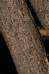  ( - OM3499)  @11 [ ] CreativeCommons - Attribution Non-Commercial Share-Alike (2011) Olivier Maurin University of Johannesburg