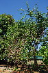  ( - OM3501)  @11 [ ] CreativeCommons - Attribution Non-Commercial Share-Alike (2011) Olivier Maurin University of Johannesburg