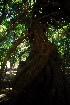  ( - OM3508)  @11 [ ] CreativeCommons - Attribution Non-Commercial Share-Alike (2011) Olivier Maurin University of Johannesburg