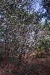  ( - OM3520)  @11 [ ] CreativeCommons - Attribution Non-Commercial Share-Alike (2011) Olivier Maurin University of Johannesburg