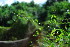  ( - OM3523)  @11 [ ] CreativeCommons - Attribution Non-Commercial Share-Alike (2011) Olivier Maurin University of Johannesburg