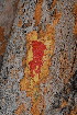  ( - OM3527)  @11 [ ] CreativeCommons - Attribution Non-Commercial Share-Alike (2011) Olivier Maurin University of Johannesburg
