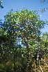  ( - OM3527)  @11 [ ] CreativeCommons - Attribution Non-Commercial Share-Alike (2011) Olivier Maurin University of Johannesburg