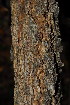  ( - OM3548)  @11 [ ] CreativeCommons - Attribution Non-Commercial Share-Alike (2011) Olivier Maurin University of Johannesburg