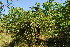  ( - OM3551)  @11 [ ] CreativeCommons - Attribution Non-Commercial Share-Alike (2011) Olivier Maurin University of Johannesburg